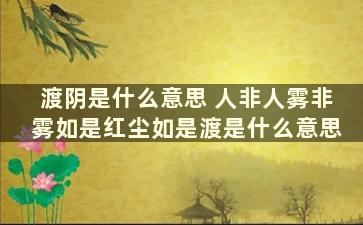 渡阴是什么意思 人非人雾非雾如是红尘如是渡是什么意思